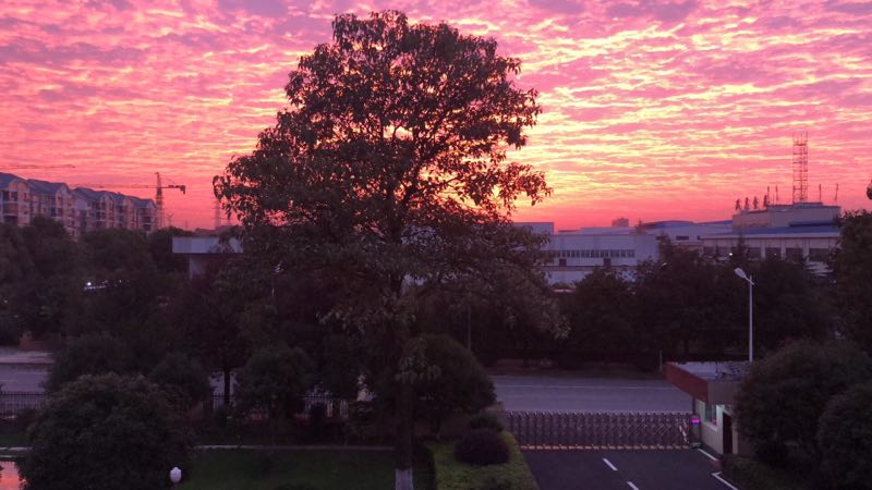 免费99精品国产自在在线