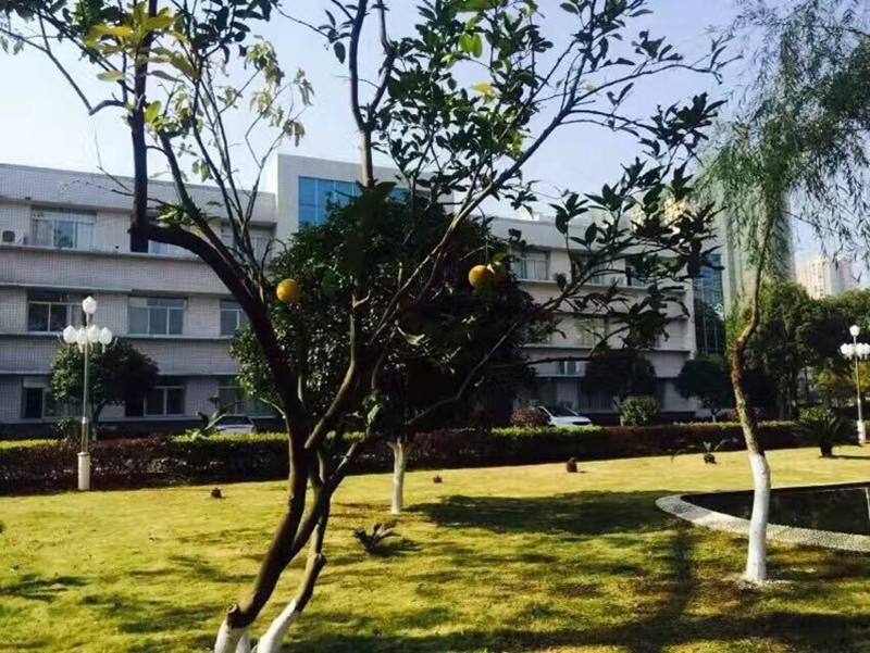 免费99精品国产自在在线