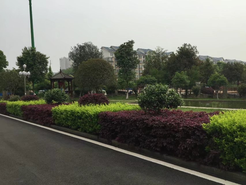 免费99精品国产自在在线