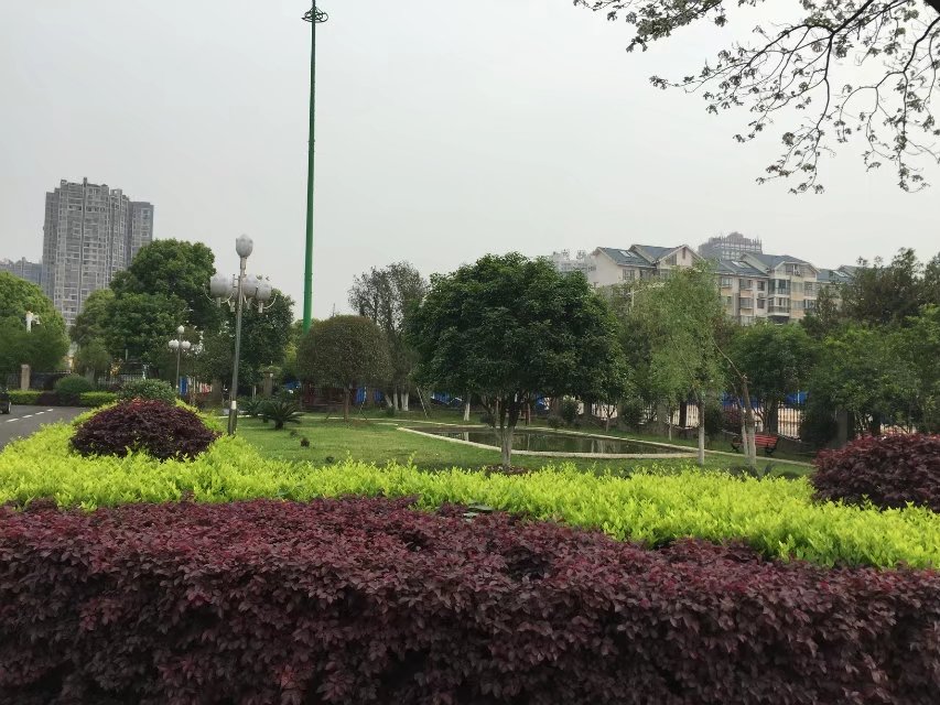 免费99精品国产自在在线